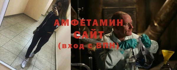 сатива Бородино