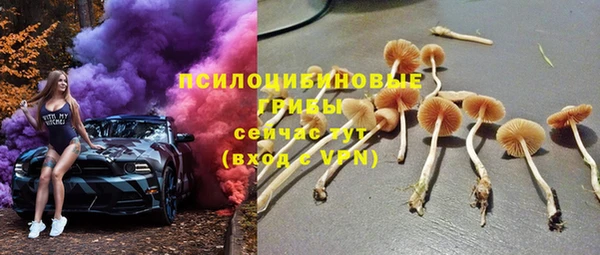 первитин Снежногорск