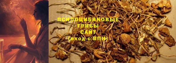 МДМА Богородицк