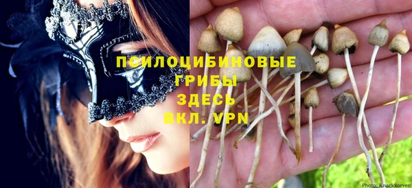 МДПВ Богданович