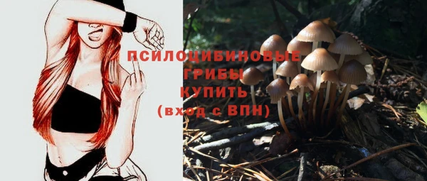 сатива Бородино