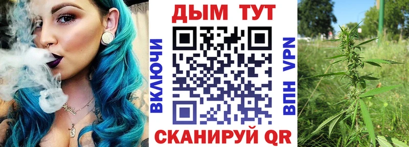 что такое наркотик  Трубчевск  Бошки марихуана ГИДРОПОН 